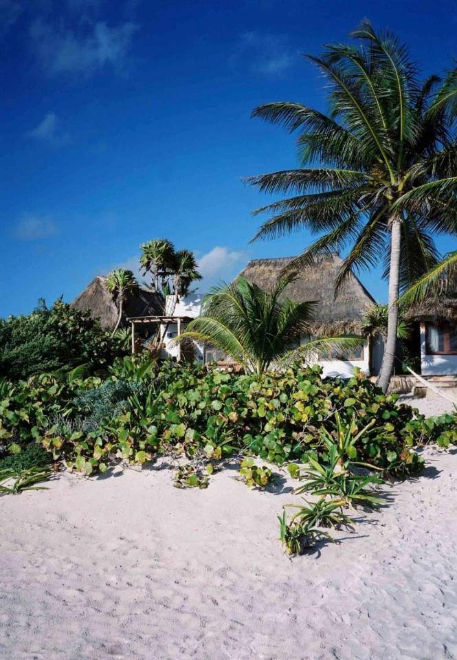 Hotel Casa Violeta Tulum Exterior foto